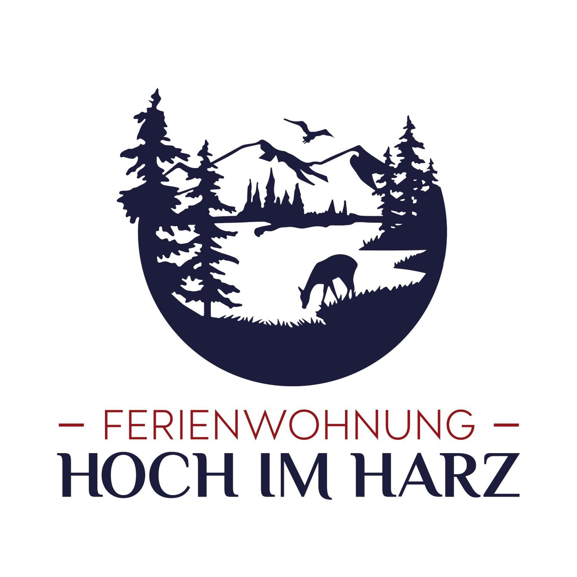 Hoch Im Harz, Altenau Appartement